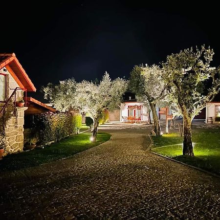 Penedo Village Marco de Canavezes Exteriör bild